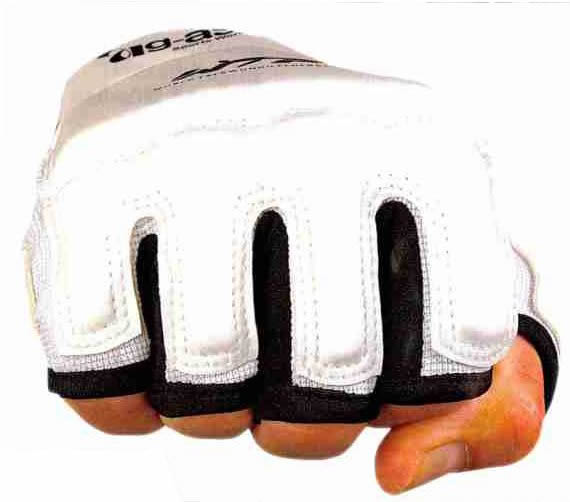 Taekwondo Hand Protector